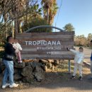 야자수 나라에서 만난 우리 | 제주 숨은 명소, 정글 같은 야자수길 군락지! 수리남 촬영지 트로피카나