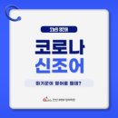 인싸영어