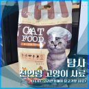 닭이랑전이랑 | [내돈내산] 탐사 전연령 고양이 사료 후기 (코리안숏헤어 닭고기맛)