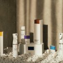 파레타(PALETA) 이미지