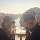 토세이