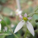 오늘과다른내일 이미지