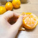 귤치과의원 이미지