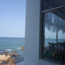 기장바다 이미지