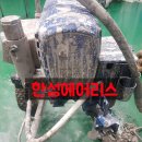 G1095 이미지