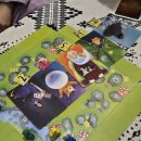 동백에어 B&B | 여행 - 퍼플섬 무료 입장 팁, 퍼플스테이 에어비엔비 후기, 퍼플섬 내 지오네 낙지전문점, 동백꽃 파마...