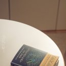 재팬네트워크브레인 | 육아서 / 똑똑한 뇌는 어떻게 만들어지는가