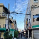 암남동(주민센터) | 부산여행기 Day 1 자갈치역 :: 개림횟집 길다랗고 쫀득한 자연산 가자미회 남포동 로컬맛집