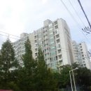 정자나무슈퍼