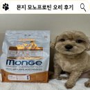 팔팔한돼지 | 몬지 오리 모노프로틴 비와일드 차이와 급여 후기