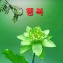 100세의료기 이미지