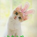 은빛초등 이미지