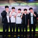 스텔라코리아 주식회사 이미지