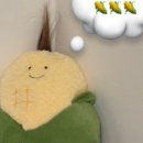 강릉 하우스 이미지