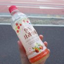 도산래프팅 옆 공중화장실 | 안동 뚜벅이 여행 2일차(1편) (도산서원, 카페 서원)