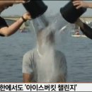 대동얼음 - 사상구 | 대동얼음