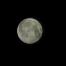 압구정달빛 이미지