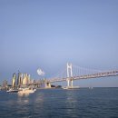 대교빌딩 | 부산요트 야간 시간 예약하고 다녀온 요트준 광안대교 후기
