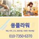 쌀화환 | 상남동 인근 예식장 화환 전문점 추천 창원 리베라컨벤션 웨딩홀 경험으로 고른 쌀화환 배달후기