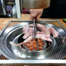 부영집 | 부산 자갈치시장 꼼장어 맛집 부영집 혼밥 혼술 후기 내돈내산(25.06.20)