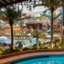 돈값하네 이미지