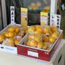 관-비-3-1 이미지