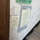 [충북 청주] 메릴본케이크 &#39;과즙팡팡복숭아케이크&#39; 예약 후기