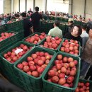 청과물처리장 이미지