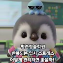 청솔음악학원 | 🙋 반복되는 입시 스트레스 어떻게 관리하면 좋을까?? 🙋‍♀️