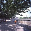 N.VILLAGE 4 이미지