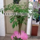 장유농약종묘사 이미지