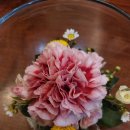 준수한준수님 이미지