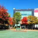 향기나무도서관 | (부개도서관)생각키움 문해력 교실, [기억을 파는 향기 가게] 수업 이야기