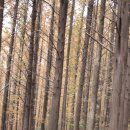 힐링칼국수 이미지