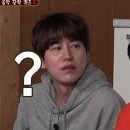 쇼핑나무