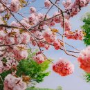 예산(당진) 이미지