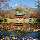 백양사 쌍계루 이미지