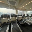 더라인핏 이미지