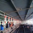 이학영 농장 이미지