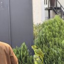 덕방천 네이버블로그