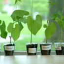 유대목장 이미지