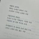 수우정보 이미지