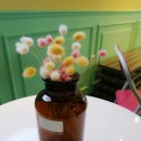 파동약국 이미지