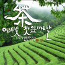 이십사절기