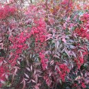 조홍한의원 이미지