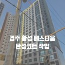 베스티움 | 경주탄성코트 황성 베스티움 아파트 최신 작업 후기 / 칠대장