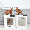 마이펫 룸 이미지