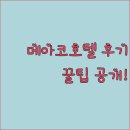 3만원대 필리핀 호텔? 메아코 호텔 솔라노 후기와 꿀팁 공개!