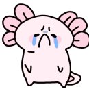 스토리터치