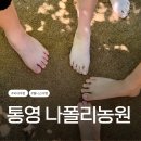 국내여행, 통영 가볼만한곳, 나폴리농원, 90분 힐링코스 후기